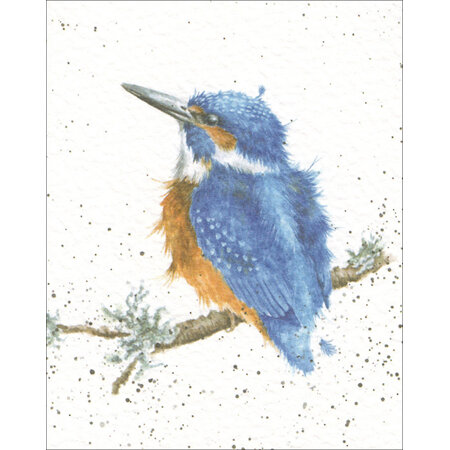 Mini Gift Card Kingfisher