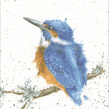 Mini Gift Card Kingfisher