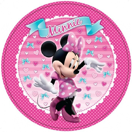 Minnie Mouse 40 piece pack.