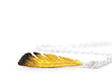 miromiro tomtit native nz bird feather gold silver pendant lilygriffin jewellery