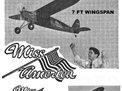 Miss America 84' 35 - 45 Size Vintage Laser Cut Short Kit