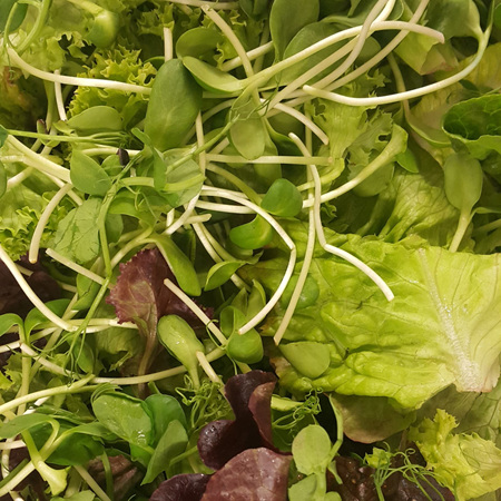 Mixed Salad Lettuce Leaves Organic/Spray Free Approx 100g
