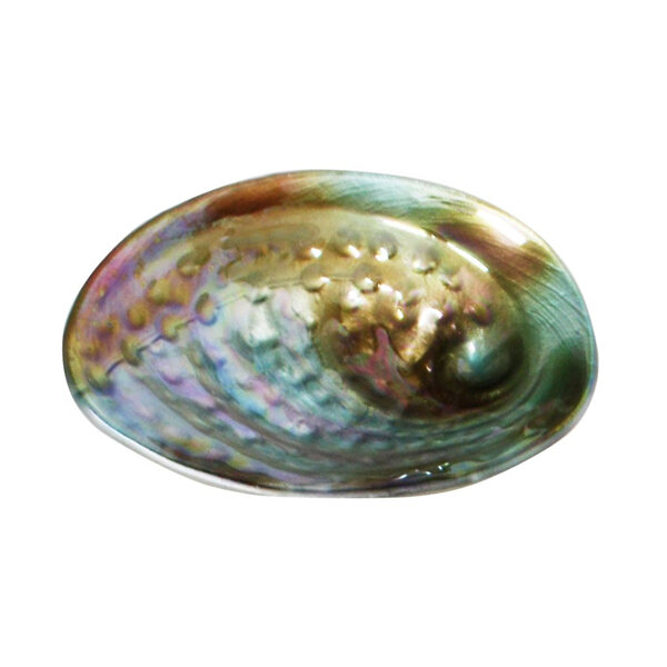 Moana Road Glass Paua Bowl Small 20cm