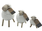 Moana Road Woolly Sheep - Marvin Medium