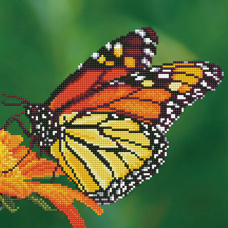 Monarch Butterfly - Diamond Art - Intermediate Kit