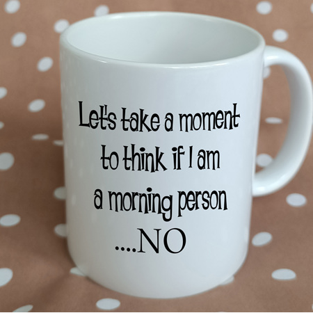 Morning Person Funny Mug