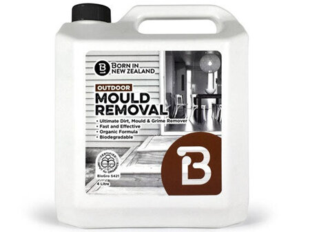 Mould Killer