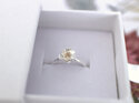 Mount Cook Lily flower adjustable ring silver gold jewellery gift box nz jewelry