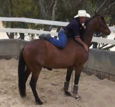 Mounting the horse on the first day