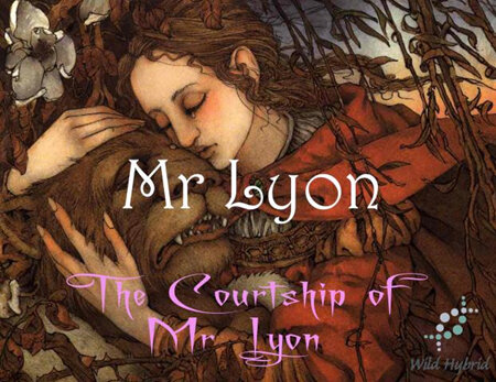 Mr Lyon