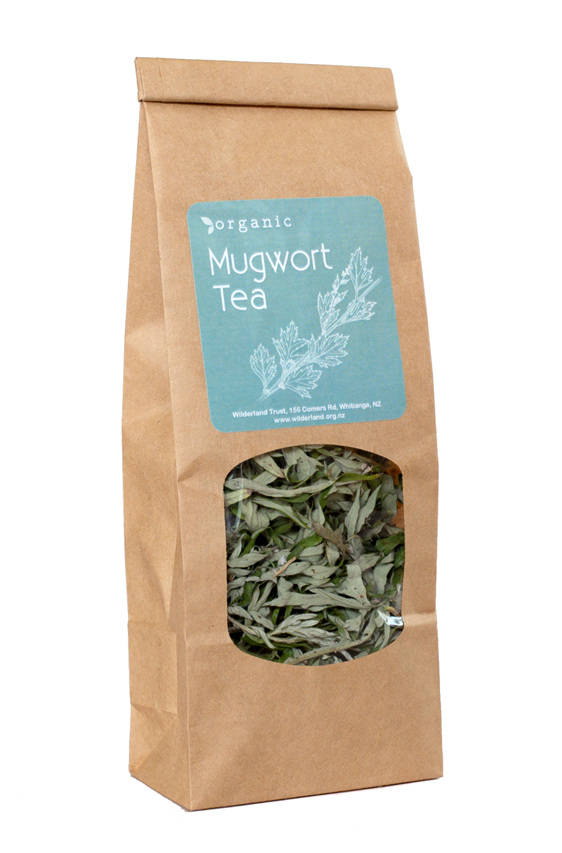 mugwort tea