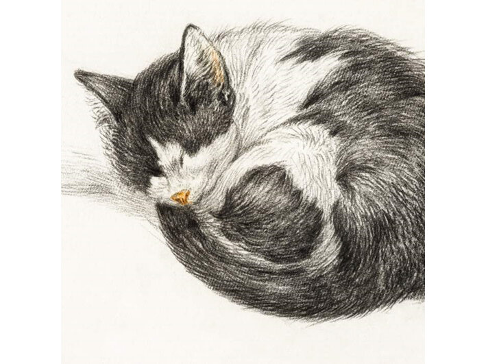 Museums and Galleries sleeping cat pencil classics range