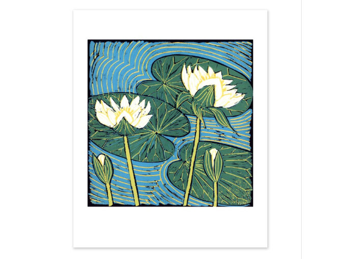 Museums and galleries the art of print waterlillies card