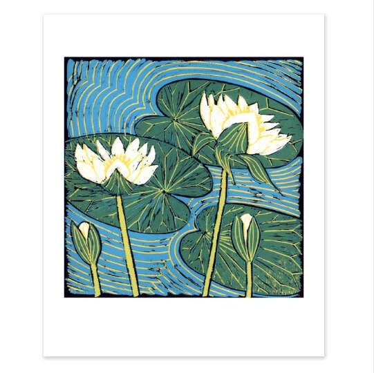 Museums and galleries the art of print waterlillies card