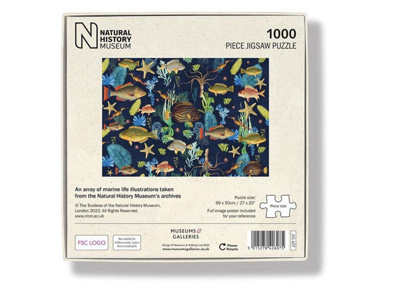 Museums & Galleries 1000 Piece Puzzle Marine Life