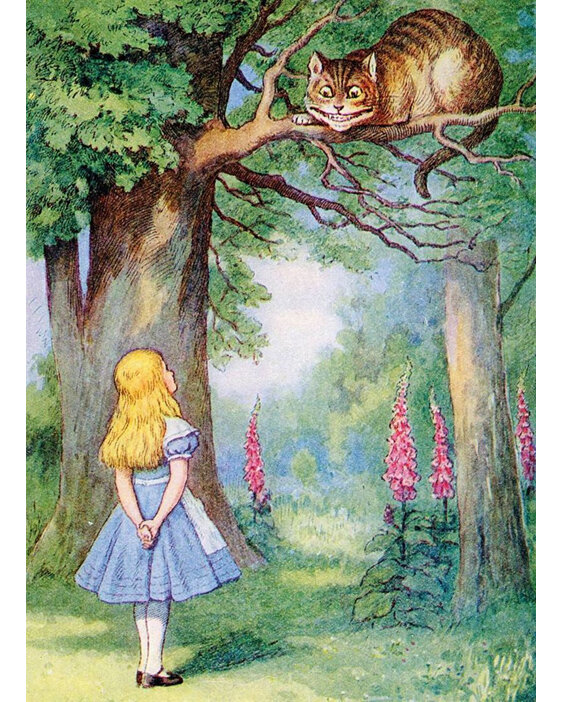 Museums & Galleries - Alice And The Cheshire Cat Card