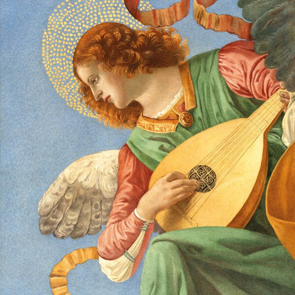 Museum's & Galleries Christmas 5 Pack Cards Angel Playing the Lute
