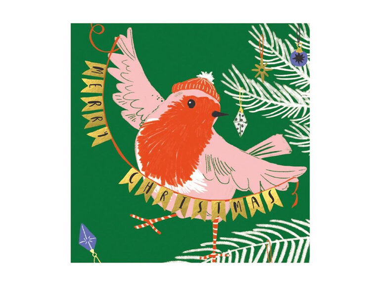 Museums & Galleries Christmas Cards 8 Pack - Rocking Robin