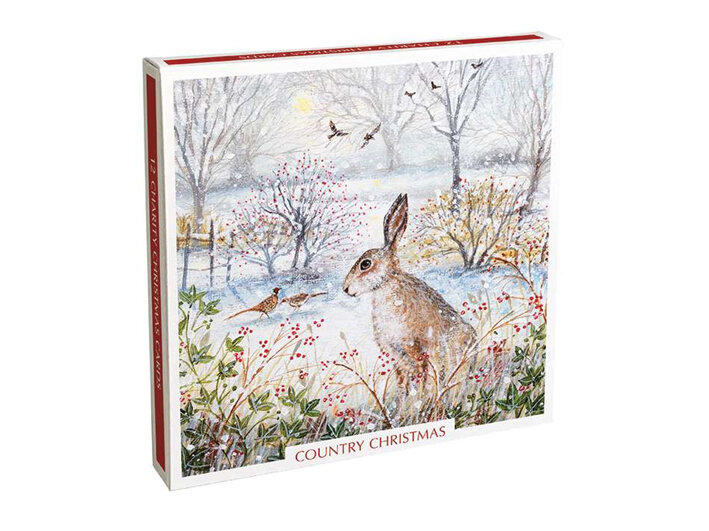 Museum's & Galleries Country Christmas Card 12 Pack (6x2 Designs)