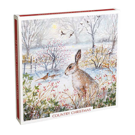 Museum's & Galleries Country Christmas Card 12 Pack (6x2 Designs)