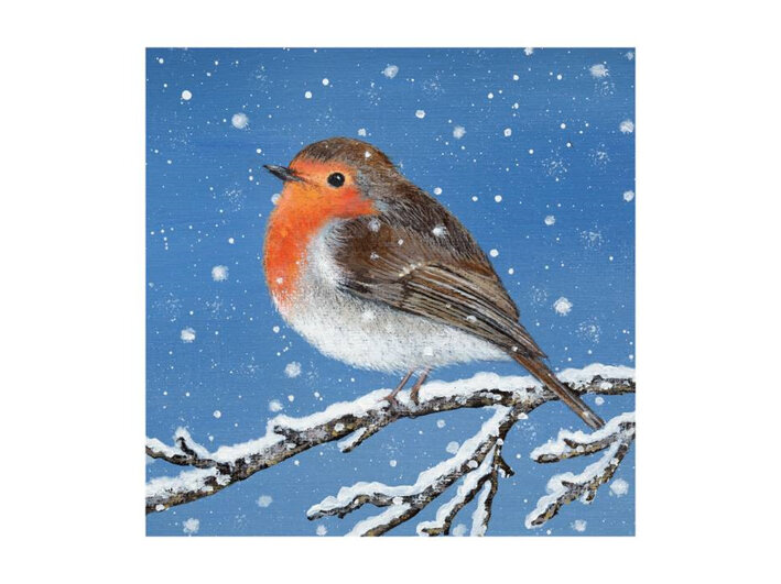 Museum's & Galleries Dusk and Dawn Christmas Card 20 Pack (5x4)