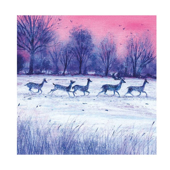 Museum's & Galleries Dusk and Dawn Christmas Card 20 Pack (5x4)