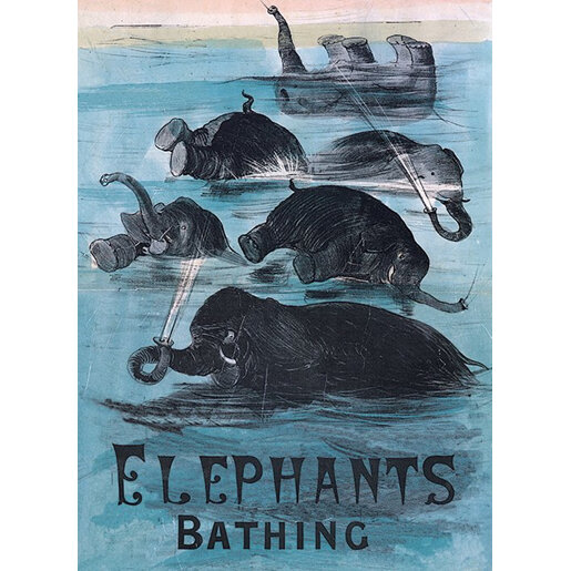 Museums & Galleries Elephants Bathing Card