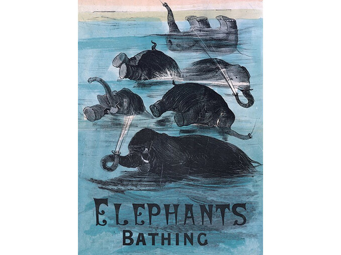 Museums & Galleries Elephants Bathing Card national library