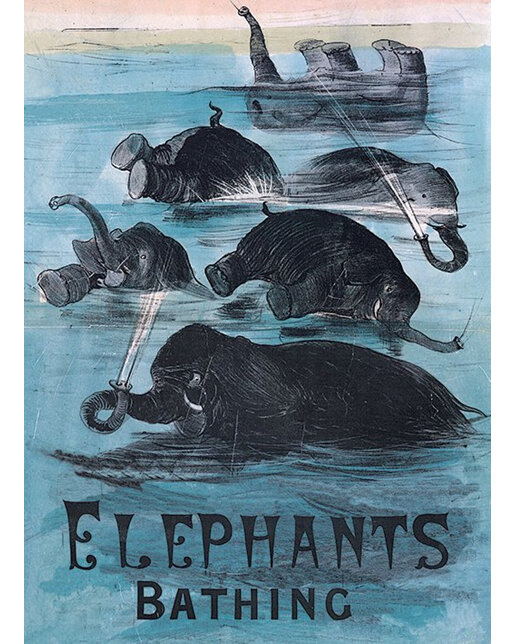 Museums & Galleries Elephants Bathing Card national library