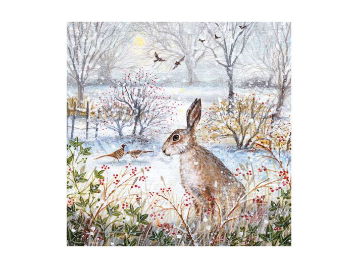 Museum's & Galleries Frosty Morning & Hare Christmas Card 8 Pack