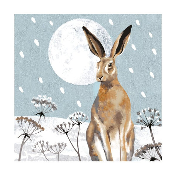 Museums & Galleries Hare & Moon Christmas Card 8 Pack