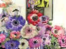 Museums & Galleries - Mackintosh Florals 20 Notecards Pack