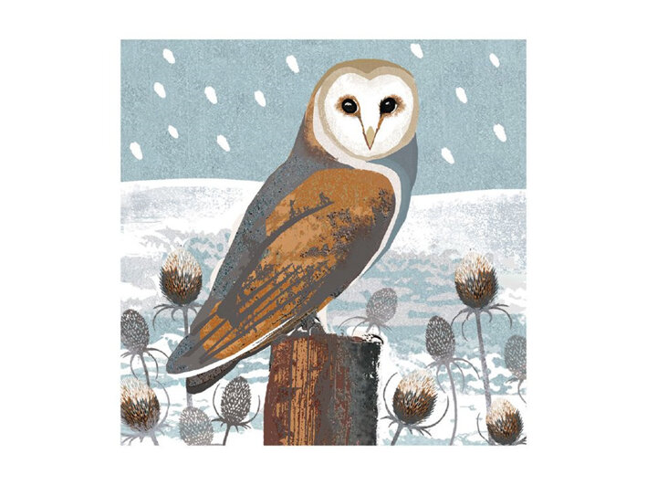 Museum's & Galleries Owls & Teasels Christmas Card 8 Pack