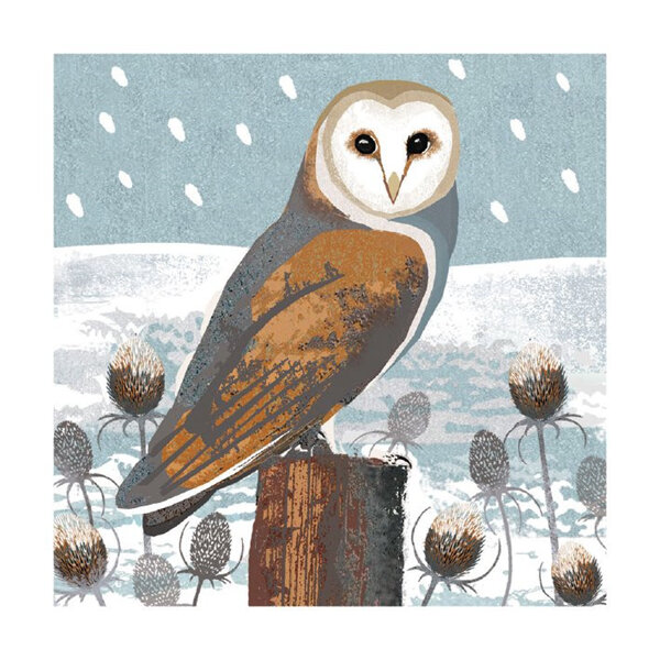Museum's & Galleries Owls & Teasels Christmas Card 8 Pack