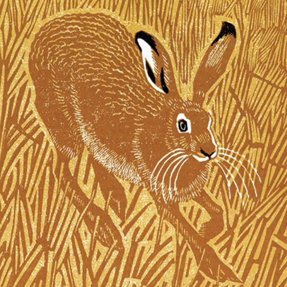 Museums & Galleries - Stubble Hare - Card