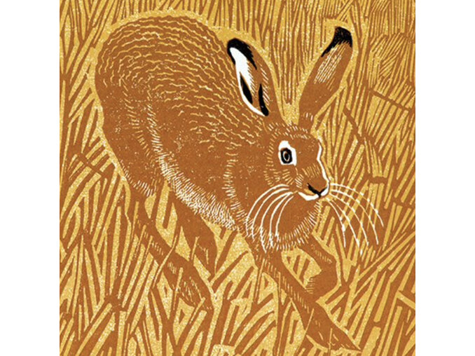 Museums & Galleries - Stubble Hare - Card