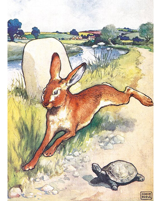 Museums & Galleries The Hare & The Tortoise Card
