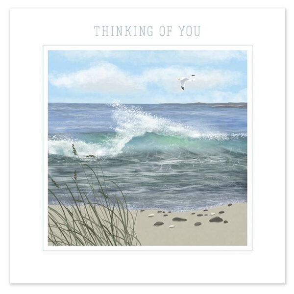 Museums & Galleries Thinking of You Card Seagull at High Tide