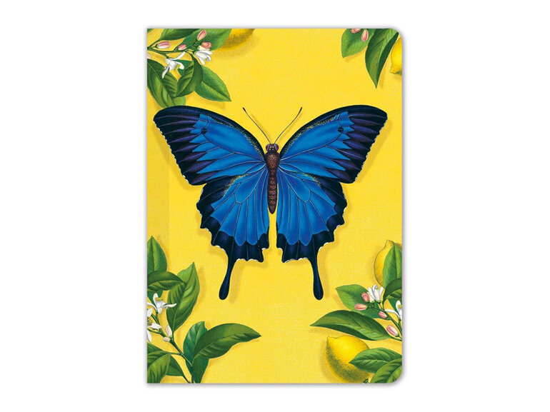 Museums & Galleries Ulysses Butterfly Mini Pocket Notebook