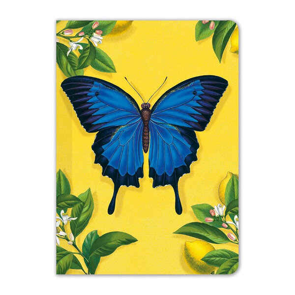 Museums & Galleries Ulysses Butterfly Mini Pocket Notebook