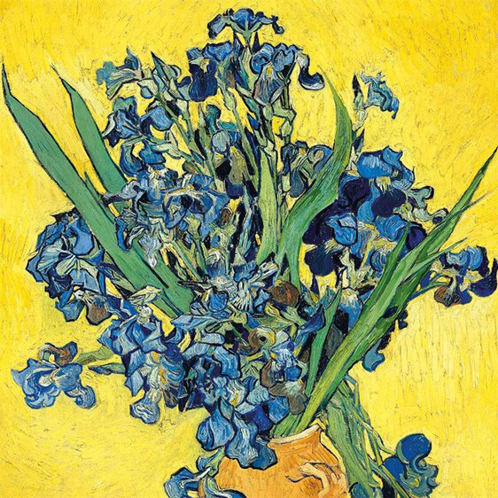 Museums & Galleries - Vincent Van Gogh 20 Notecards Pack