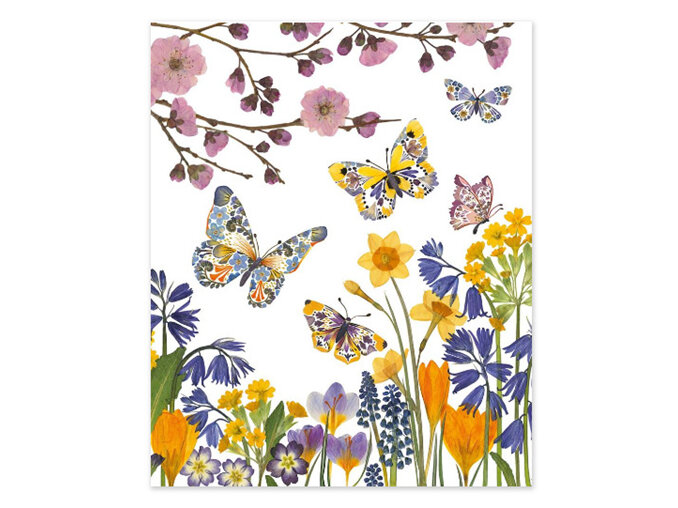 Museums & Galleries - Wild Press Butterfly Meadow Card
