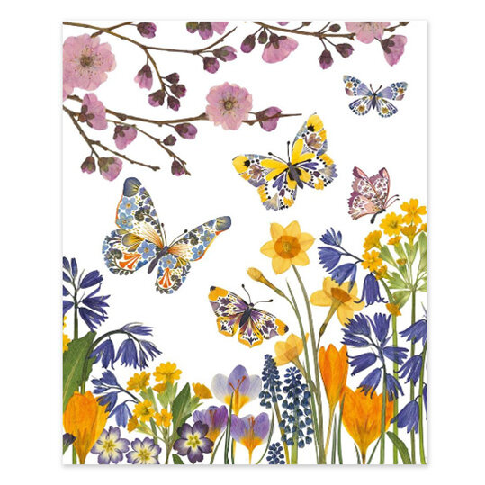 Museums & Galleries - Wild Press Butterfly Meadow Card