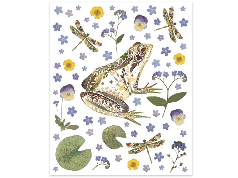 Museums & Galleries - Wild Press Garden Frog Card