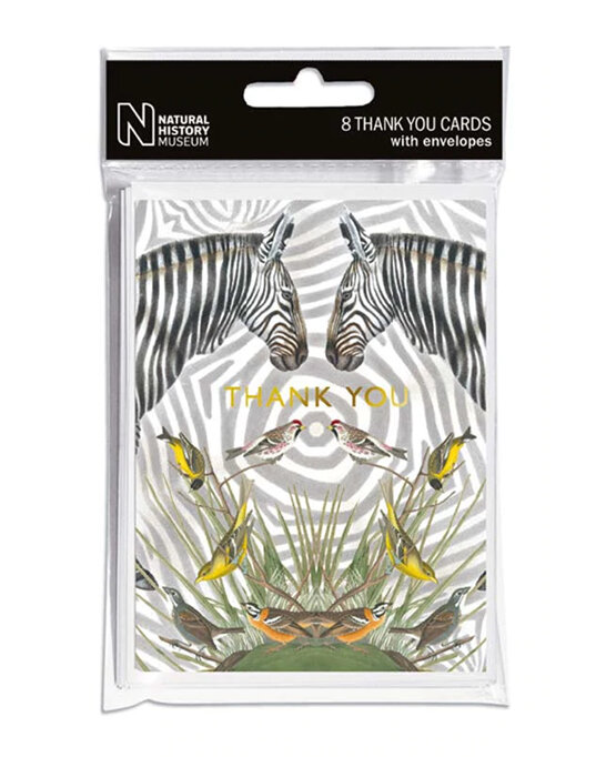 Museums & Galleries Zebra Thank You 8 Notecards