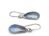 mussel shells oxidised sterling silver blue green earrings beach lilygriffin nz