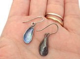 mussel shells oxidised sterling silver blue green nz earrings beach ocean