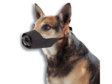Muzzle Dog Buster 0