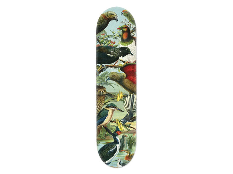 Native Birds of New Zealand Skateboard Deck Art *Free Delivery*
