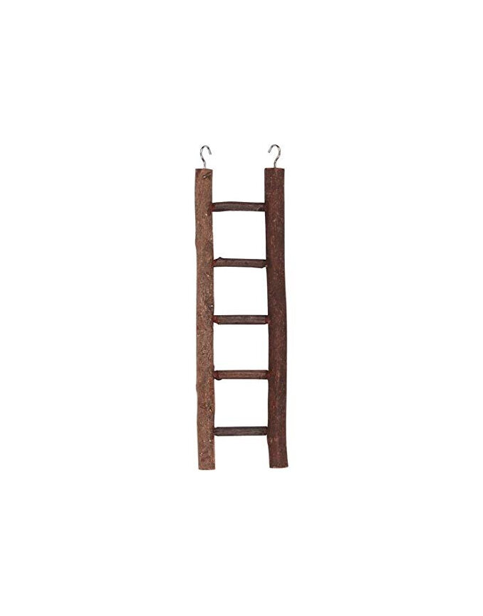 Natural Bird Ladder